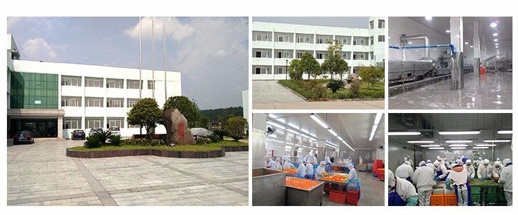 product-1-1 company profile