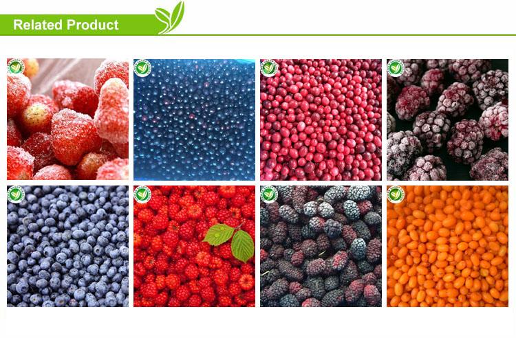 XMSD bulk frozen strawberries 10kg carton supply