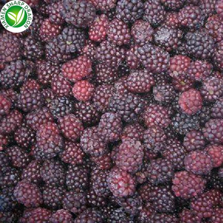 frozen Blackberry galette frozen Blackberry galette