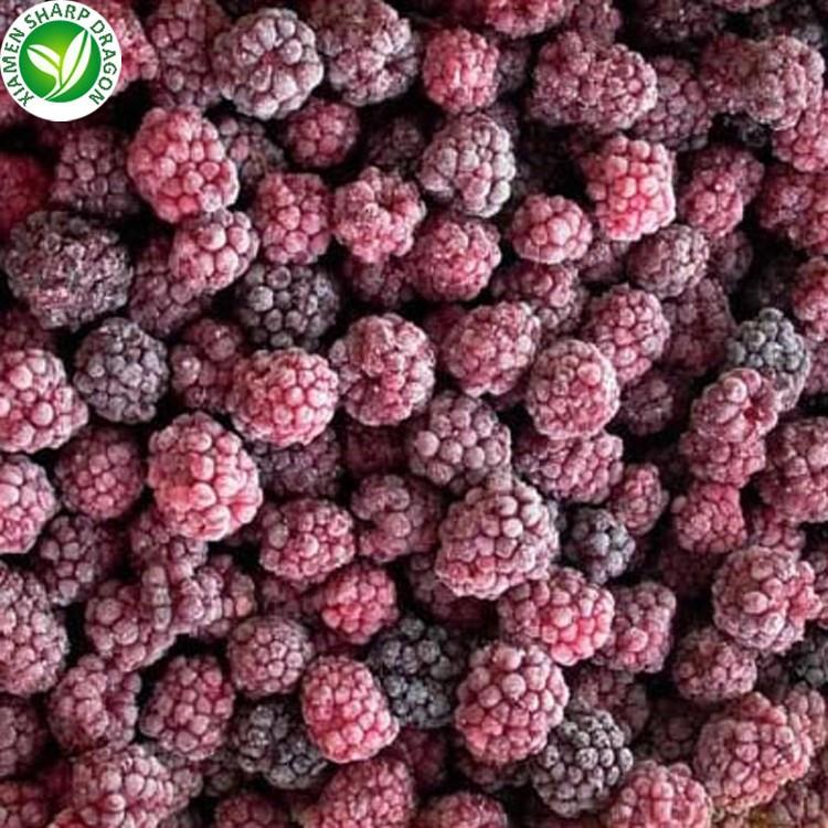 IQF Blackberry Fruit Suppliers and Manufacturers Wholesale Best IQF