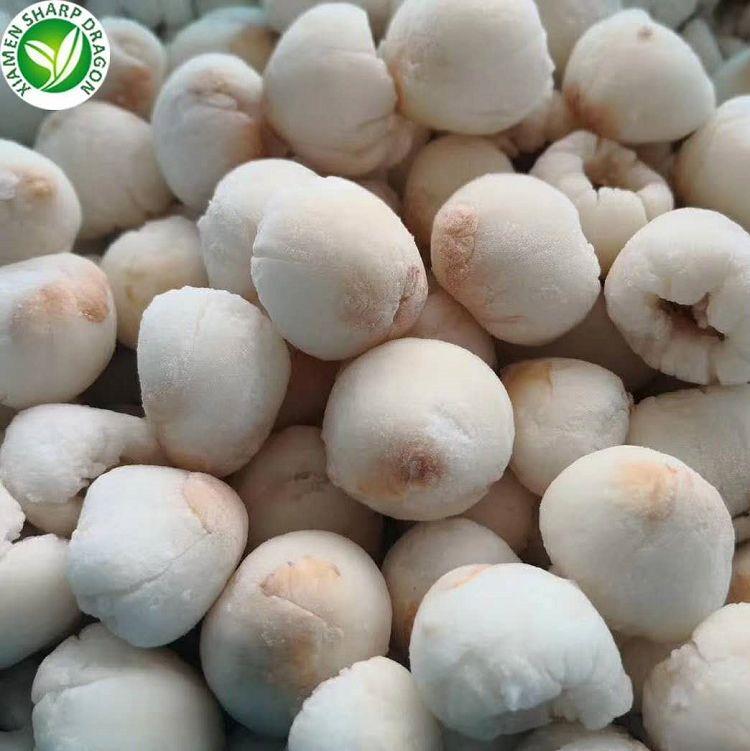 frozen lychee fruit(001) product-1-1