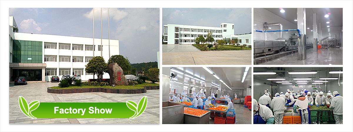 professional professional