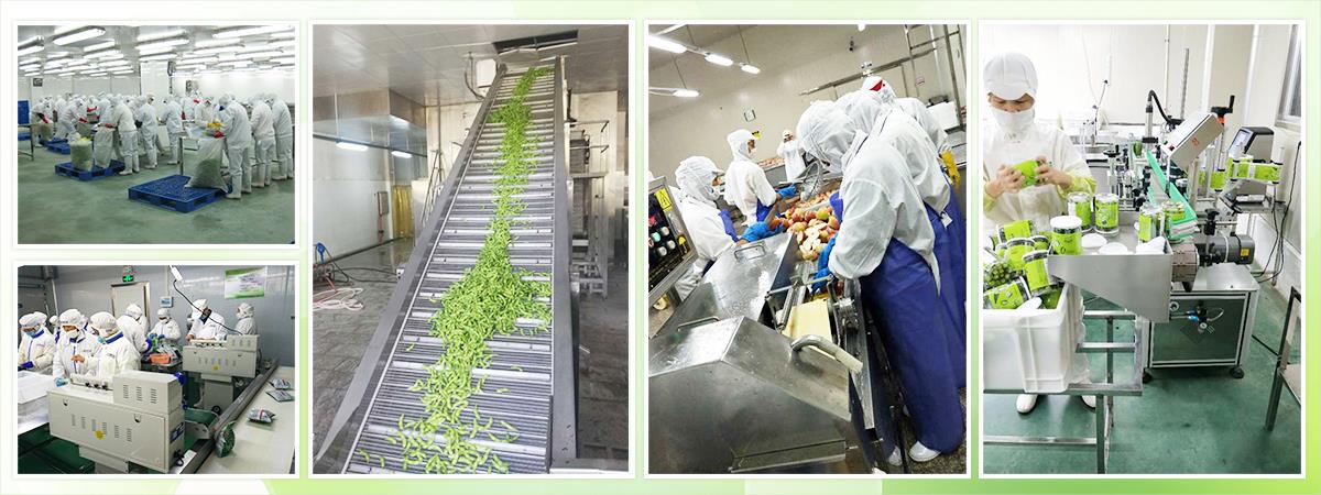 professional professional