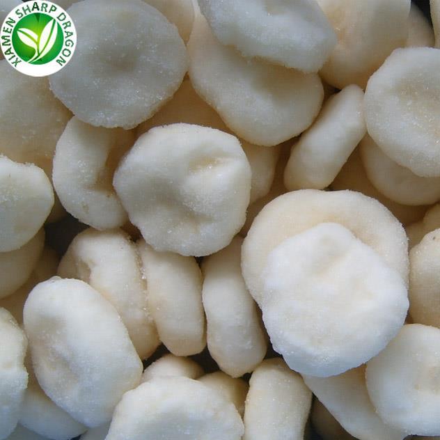 Frozen water chestnut slice form for served-portion review Peeled frozen water chestnut slices showing pale crisp flesh