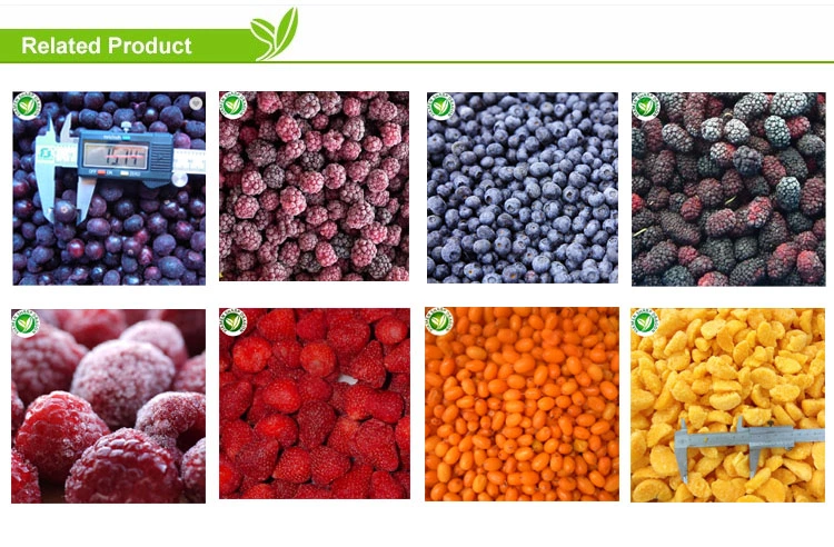 product-750-492 product-750-492