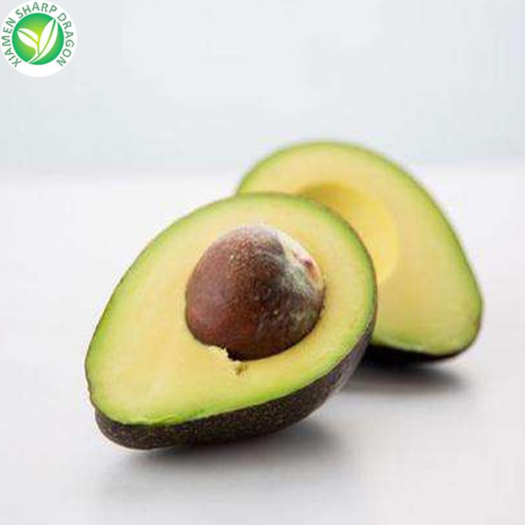 avocado for export avocado for export