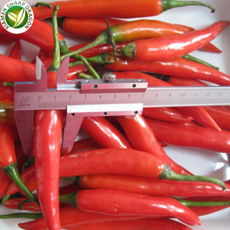 best red chilli best red chilli