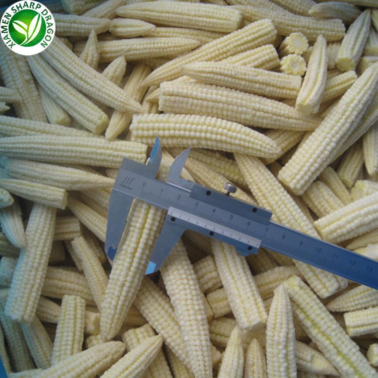 Baby corn ears beside a caliper showing their small immature form