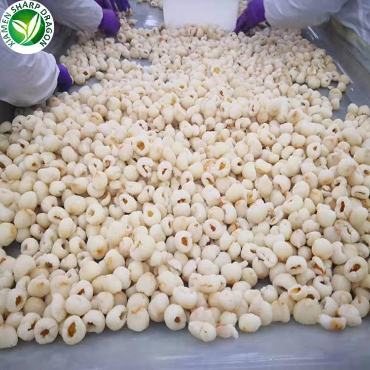 wholesale best grade lychee