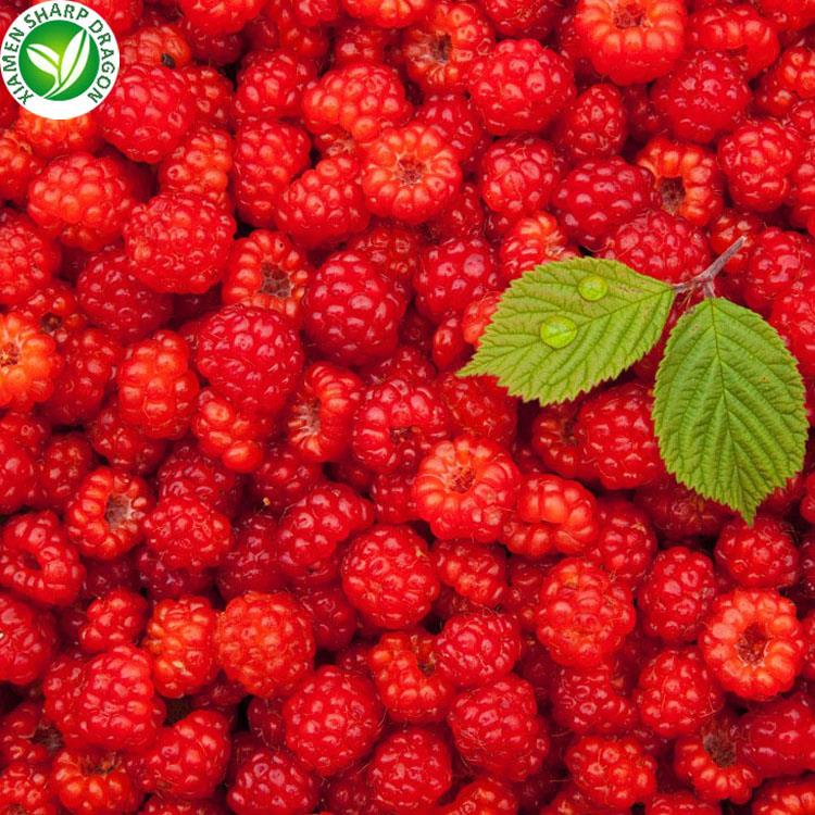 Frozen Wholesale IQF Raspberry In Bulk