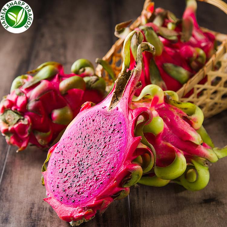 Fresh red-flesh dragon fruit used for bowel-response discussion Whole red dragon fruits beside one fruit cut open