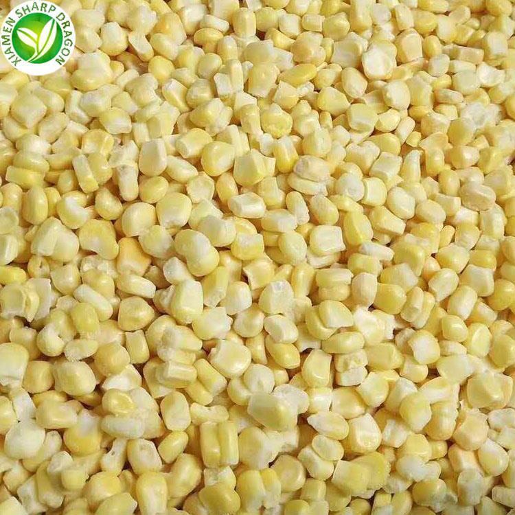 Frozen Sweet Corn For Sale