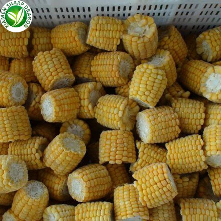 frozen corn on the cob bulk