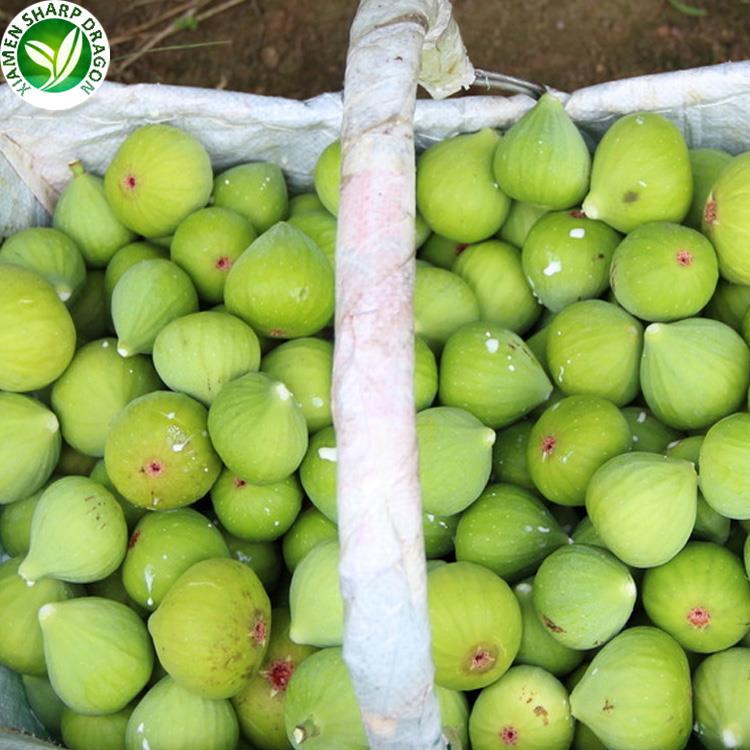 Fresh green figs in baskets before freezing