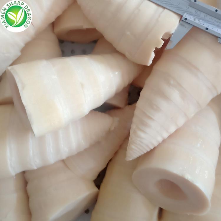 white bamboo shoot 