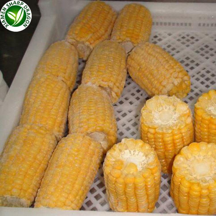 XMSD Chinese Yellow Corn IQF frozen sweet corn supplier