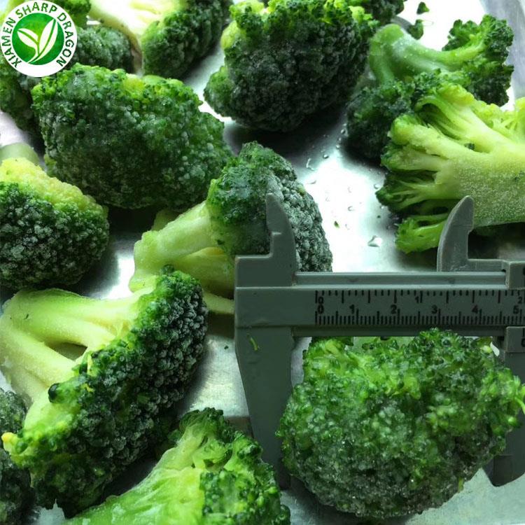 Caliper measuring the width of frozen broccoli florets
