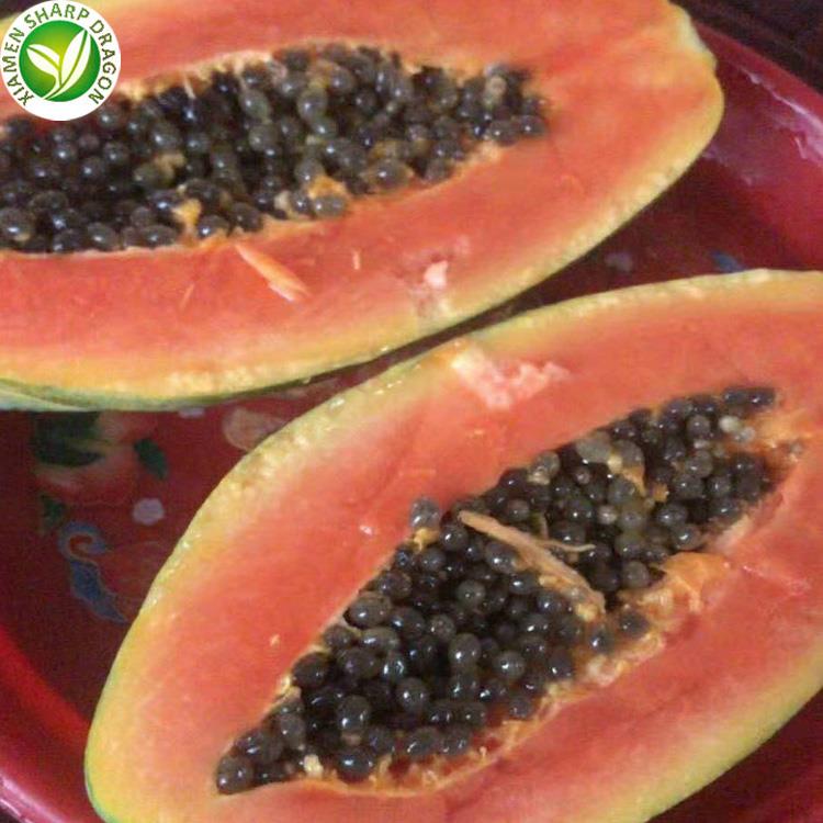 papaya fruit market papaya fruit market