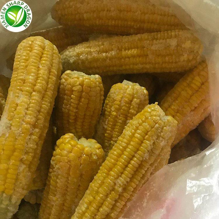 Yellow corn cobs in a bag from the XMSD product photos