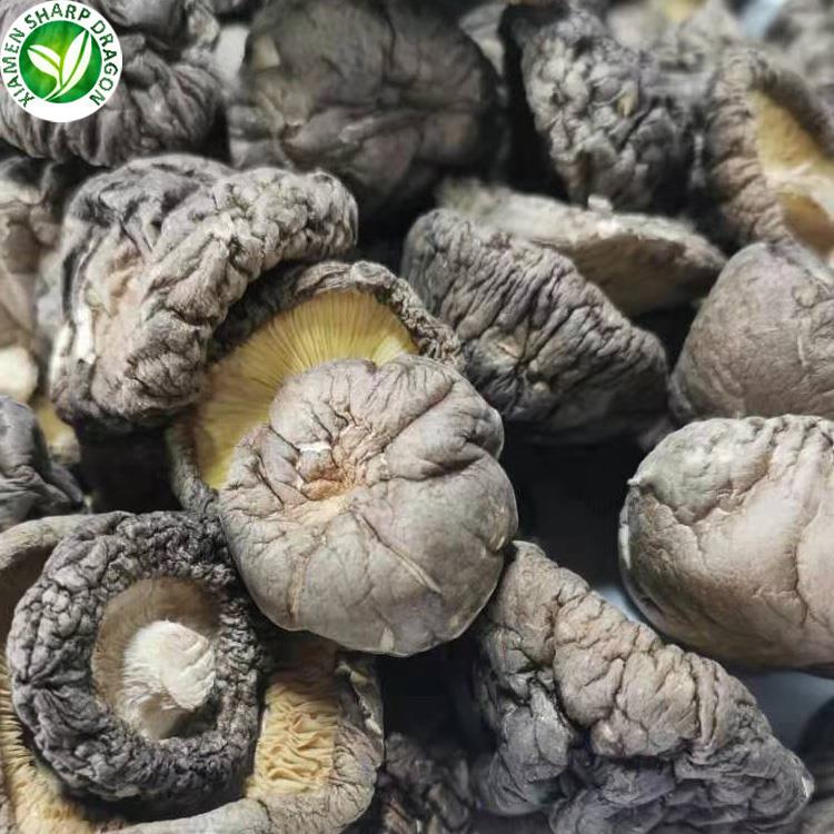 Dried shiitake mushrooms in XMSD product photo