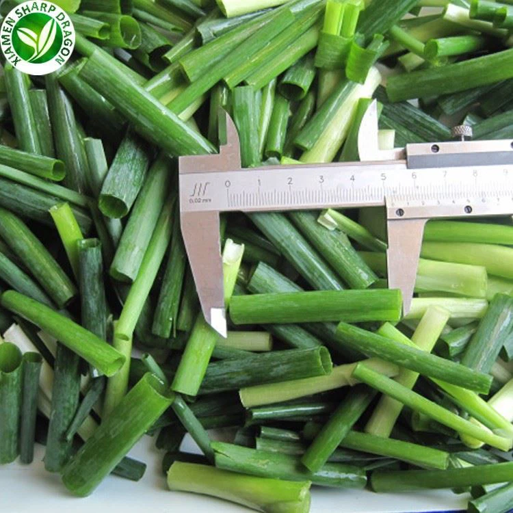 Scallion Scallion