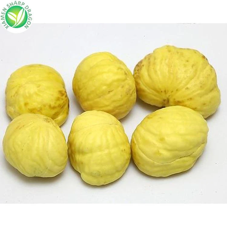 chinese chestnut chinese chestnut