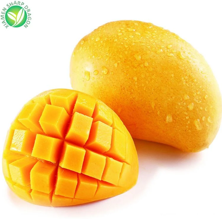 Yellow mango beside a scored mango cheek Yellow mango beside a scored mango cheek