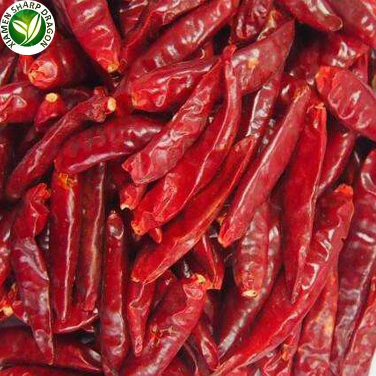 red chili in bulk