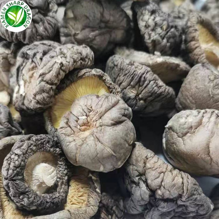 dried shiitake mushrooms market