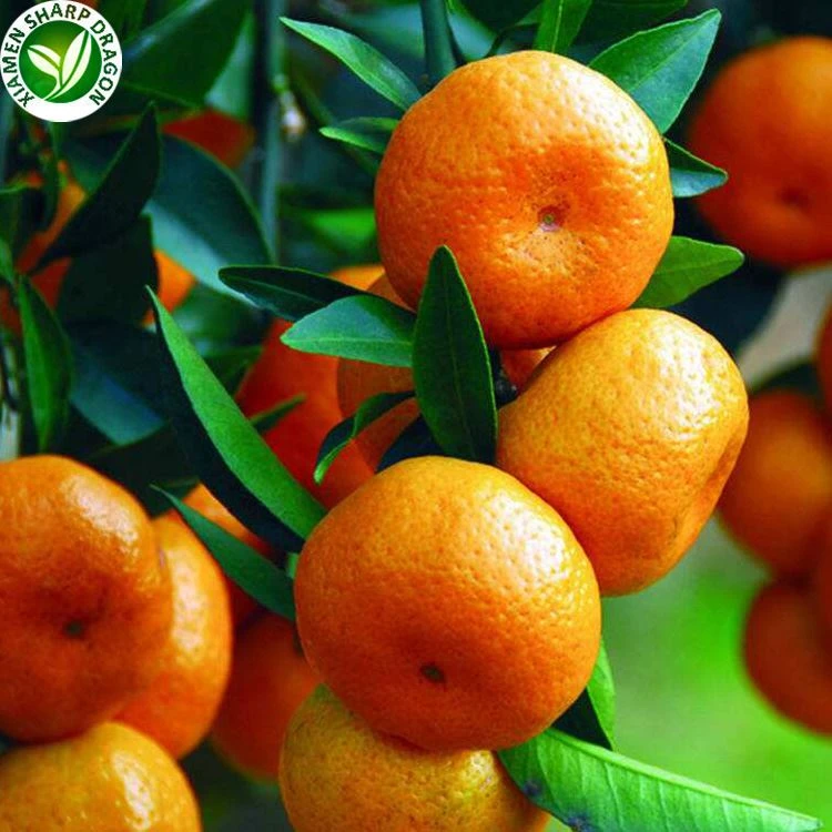 Frozen orange pieces evaluated after thawing for usable yield