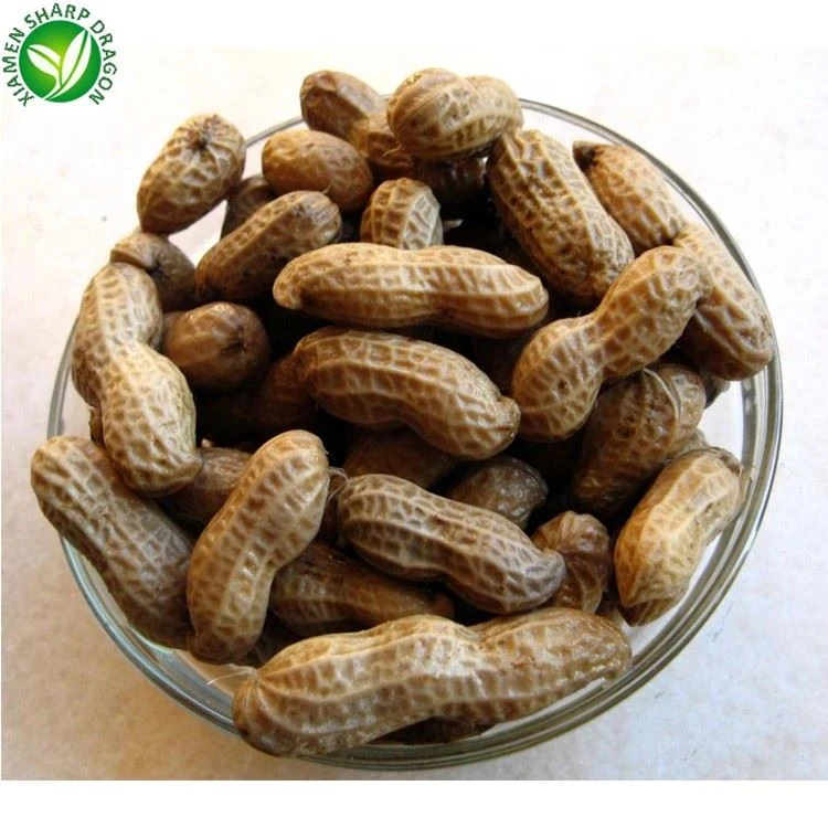 product-1-1 3234