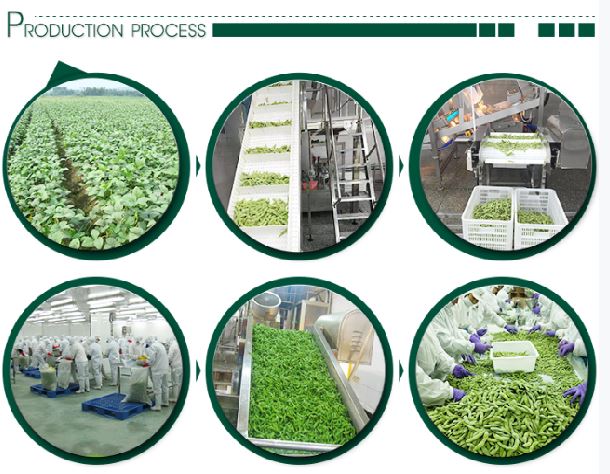 Frozen Snow Pea Pods OU certificate support for export buyers Frozen Snow Pea Pods OU certificate support for export buyers