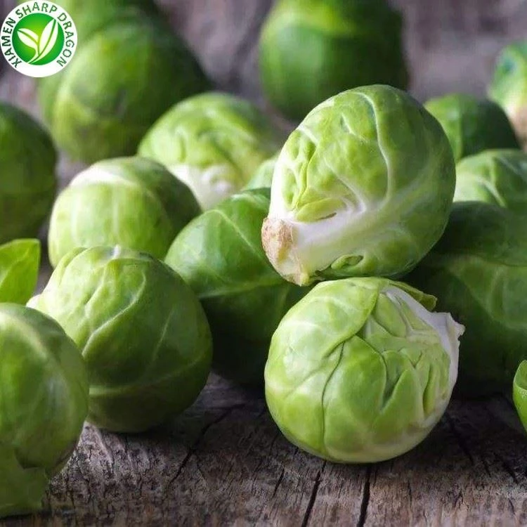 Fresh whole Brussels sprout heads