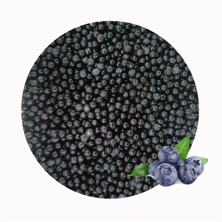 Frozen Blueberries Suppliers
