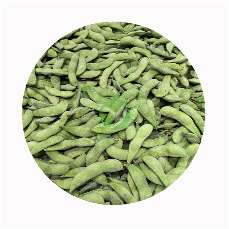 Frozen Soybean Price