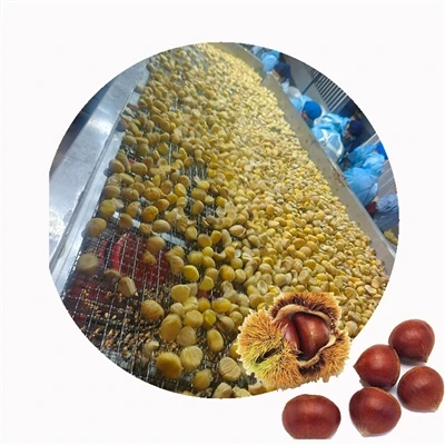 Chestnut processing conveyor with a chestnut inset