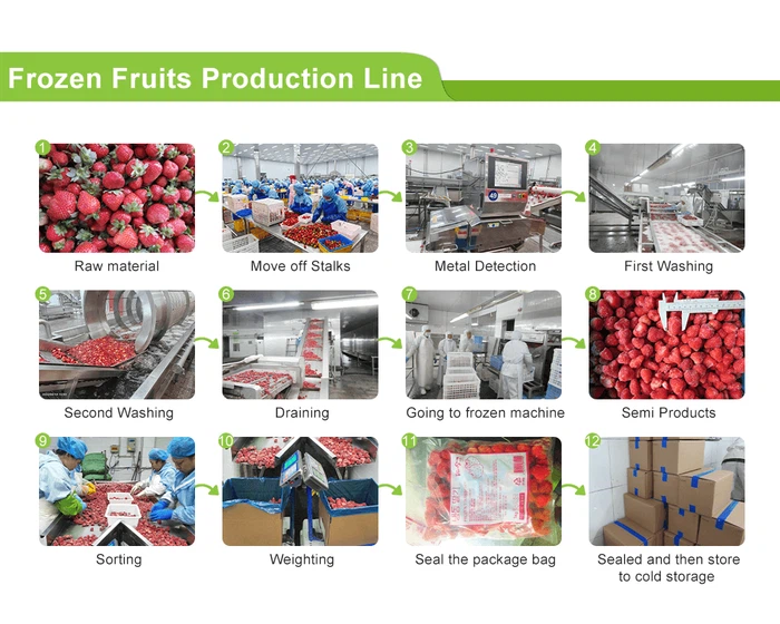 Frozen Strawberry Dices Production Process Frozen Strawberry Dices Production Process