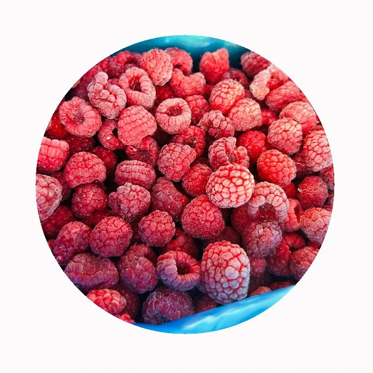 Frozen whole raspberries in a blue container representing an available supply lot