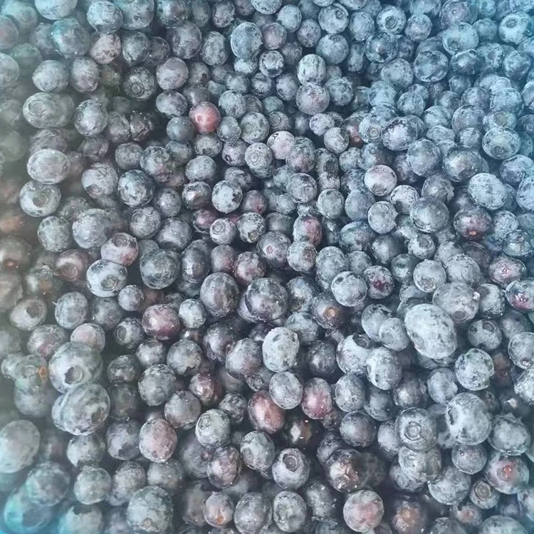 Do Frozen Blueberries Lose Nutrients