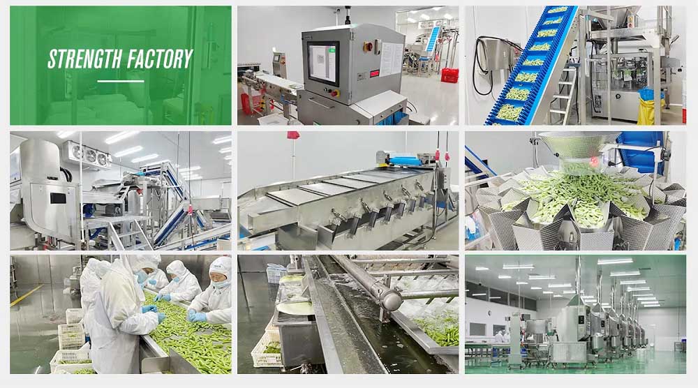 Frozen Edamame factory