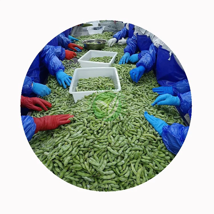 Bulk packed frozen edamame for restaurant chains and food manufacturing buyers Bulk packed frozen edamame for restaurant chains and food manufacturing buyers