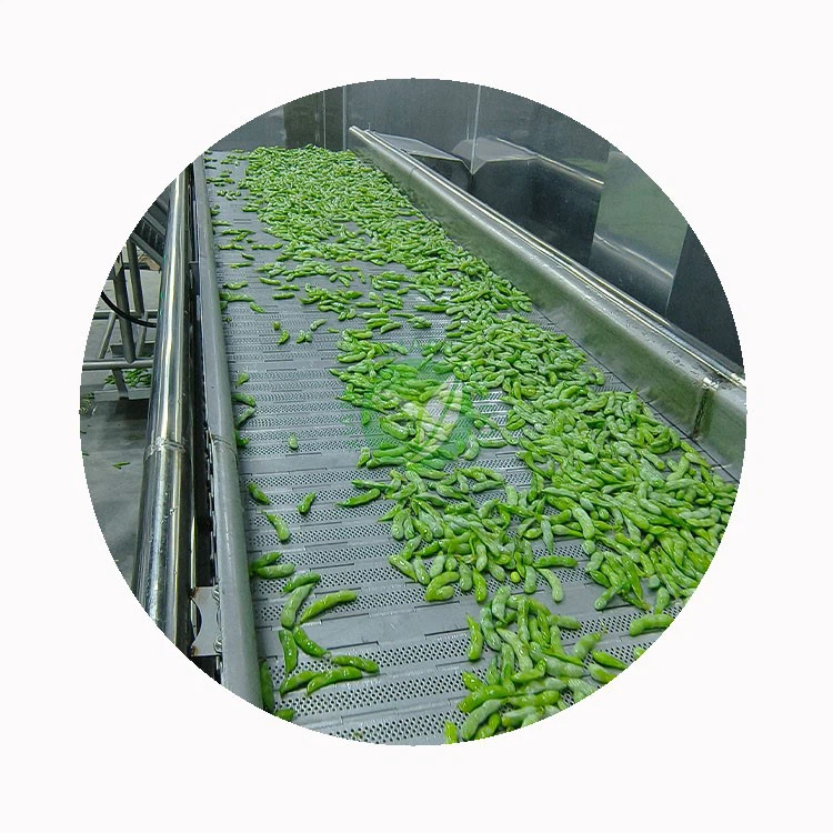 Frozen edamame vs fresh edamame beans side by side for buyer comparison Frozen edamame vs fresh edamame beans side by side for buyer comparison