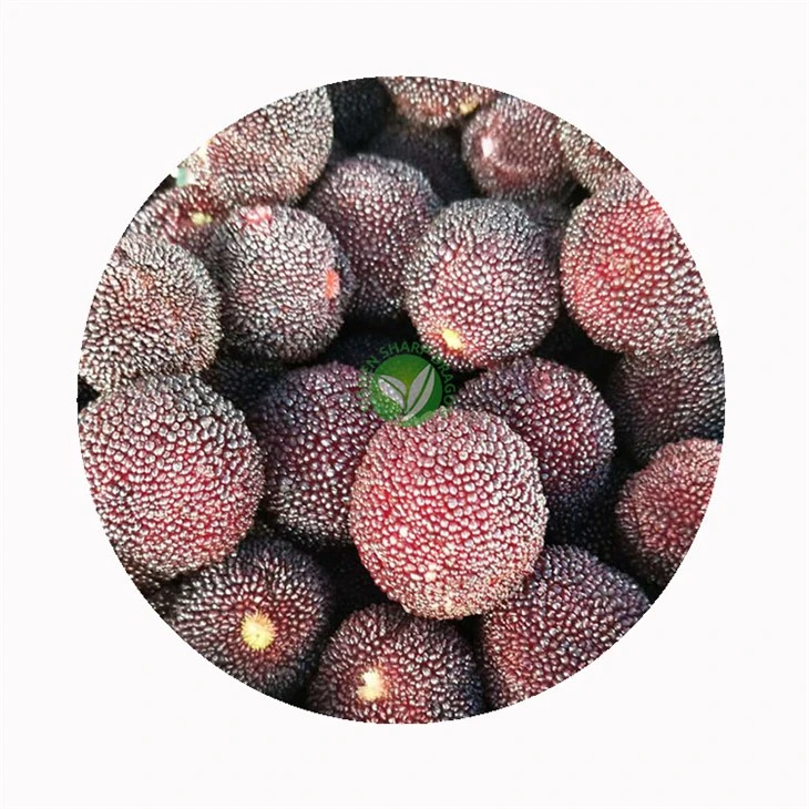 Bayberry In Chinese