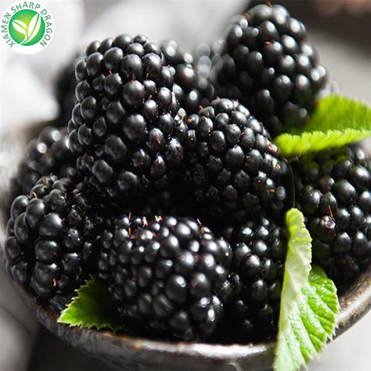 Frozen Blackberries 