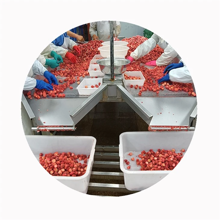 IQF Frozen Strawberry Manufacturer