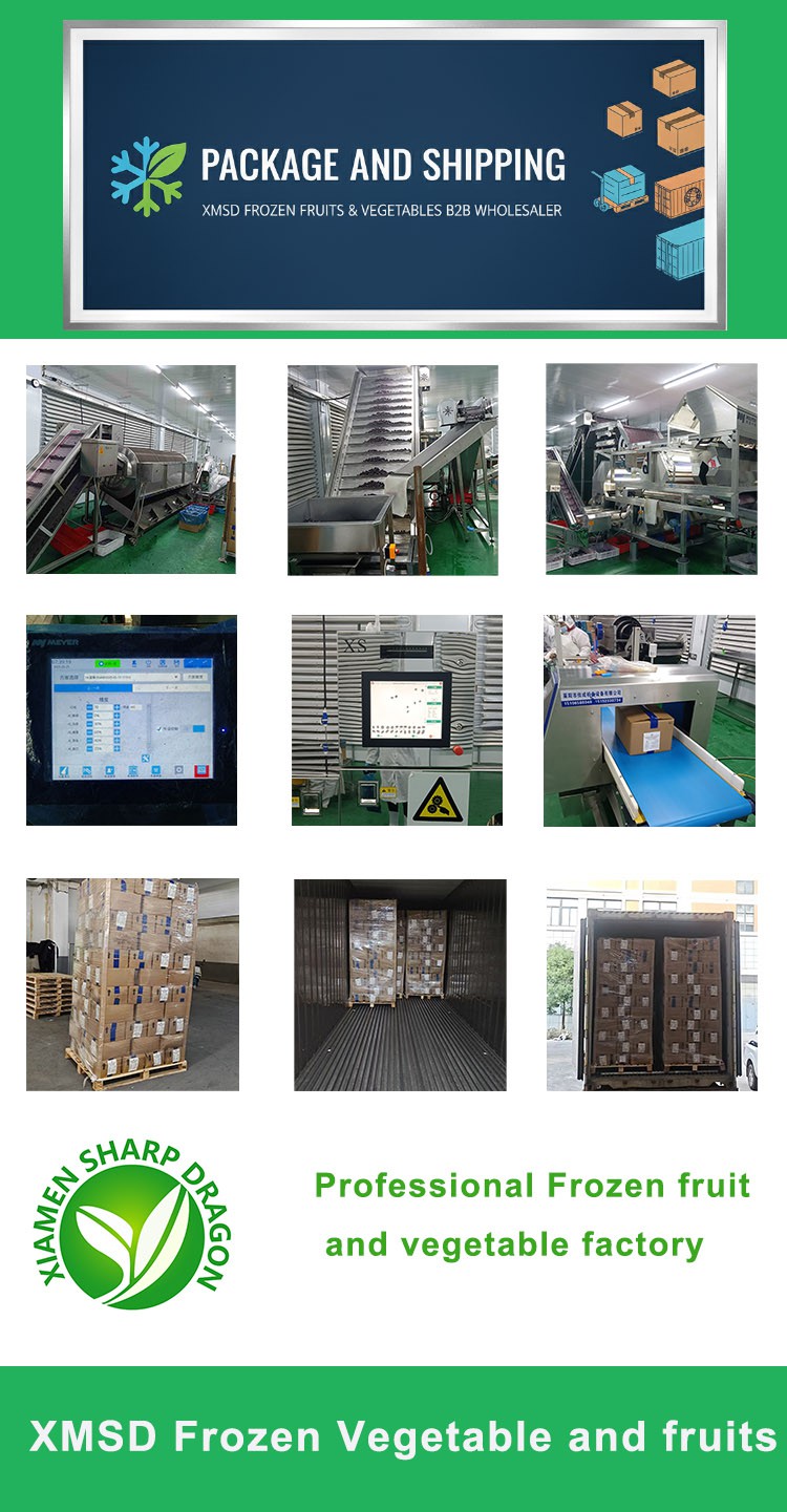 xmsd Packaging