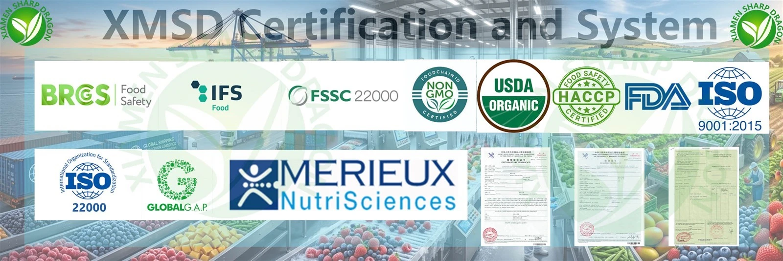 XMSD Certification and System