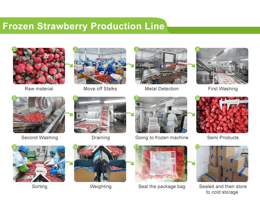 Frozen Strawberry 600kb Frozen Strawberry 600kb