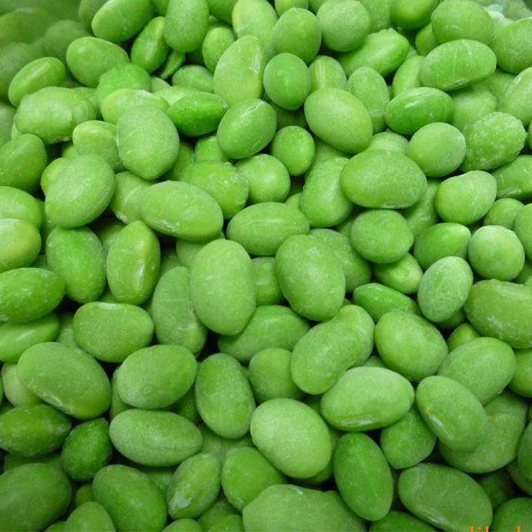 frozen edamame bean kernels supplier for bulk export frozen edamame bean kernels supplier for bulk export