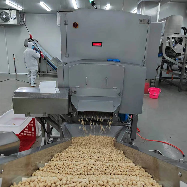 IQF Frozen Chickpeas Supplier IQF frozen chickpeas 9 to 13mm supplier for foodservice and retail buyers